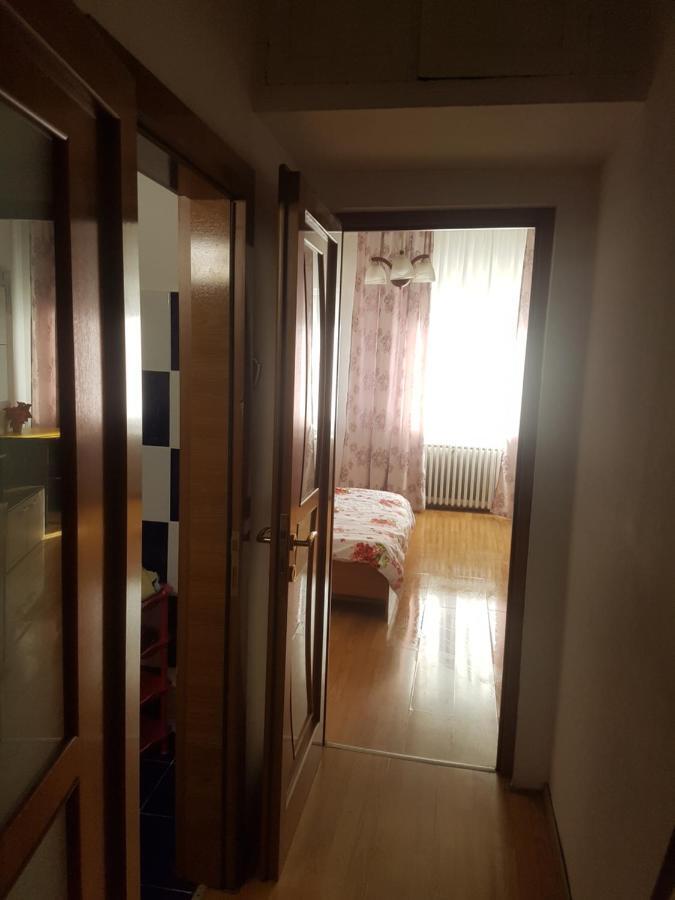 Apartament Studio Andreea Bukareszt Zewnętrze zdjęcie
